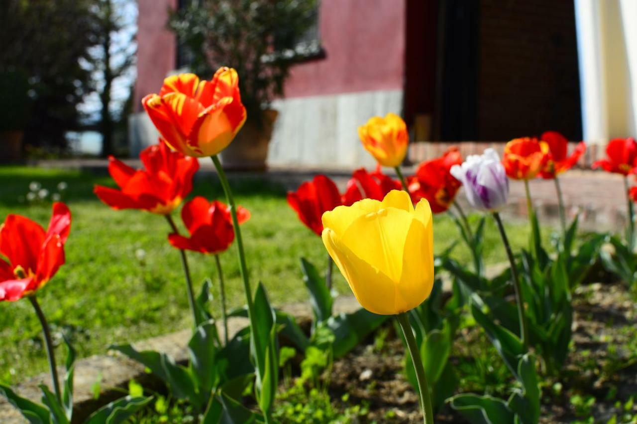 Agriturismo Tenuta Polledro Asti Kültér fotó